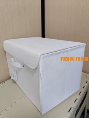Foldable Grid Storage Box for Underwear & Socks - Large Capacity Portable Closet Organizer with Dustproof Cover